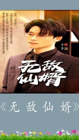 无敌仙婿(全集)