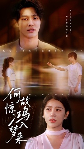 何故惊鸿入梦来(全集)