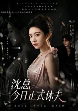 沈总今日正式休夫(全集)